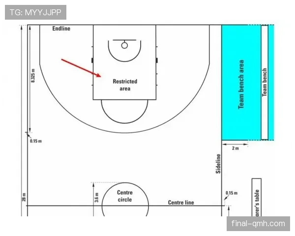 新手入门必看：FIBA和NBA规则区别对比解析